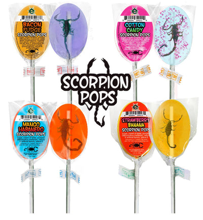 Scorpion Pops | Real Scorpions Encased in a Candy Sucker